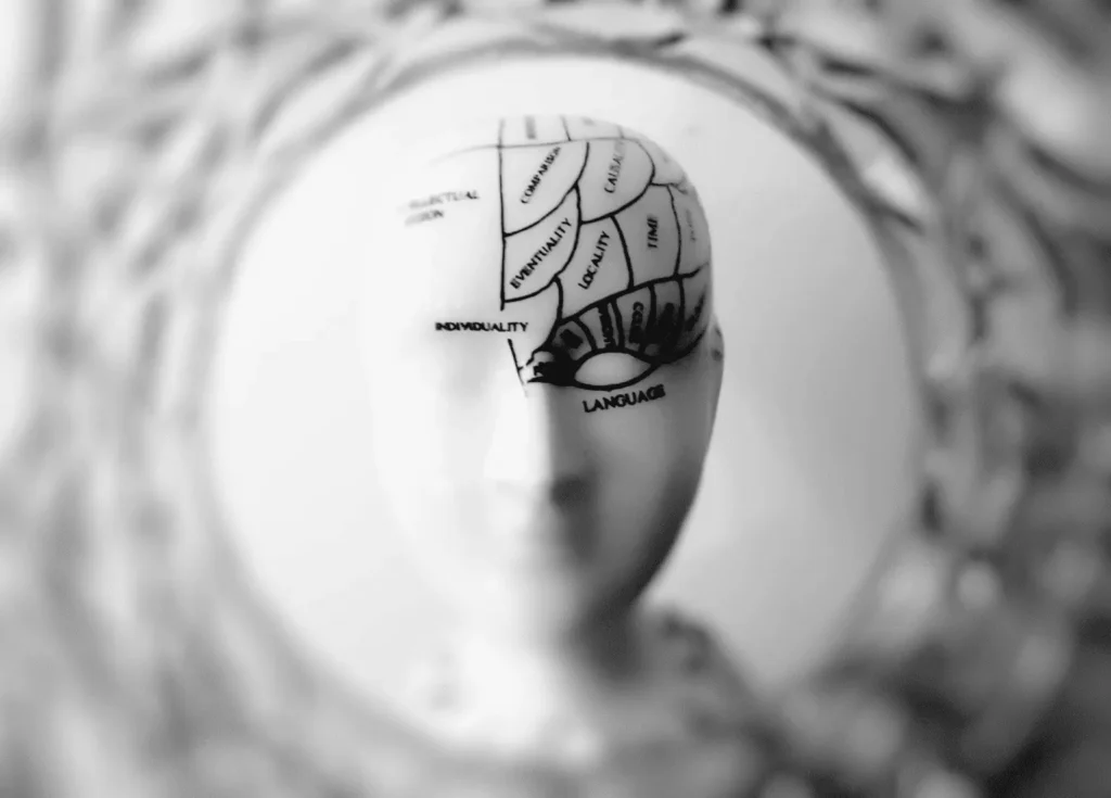 Abogado De Lesiones Cerebrales En Las Vegas 1 Imagen De Las Partes Del Cerebro